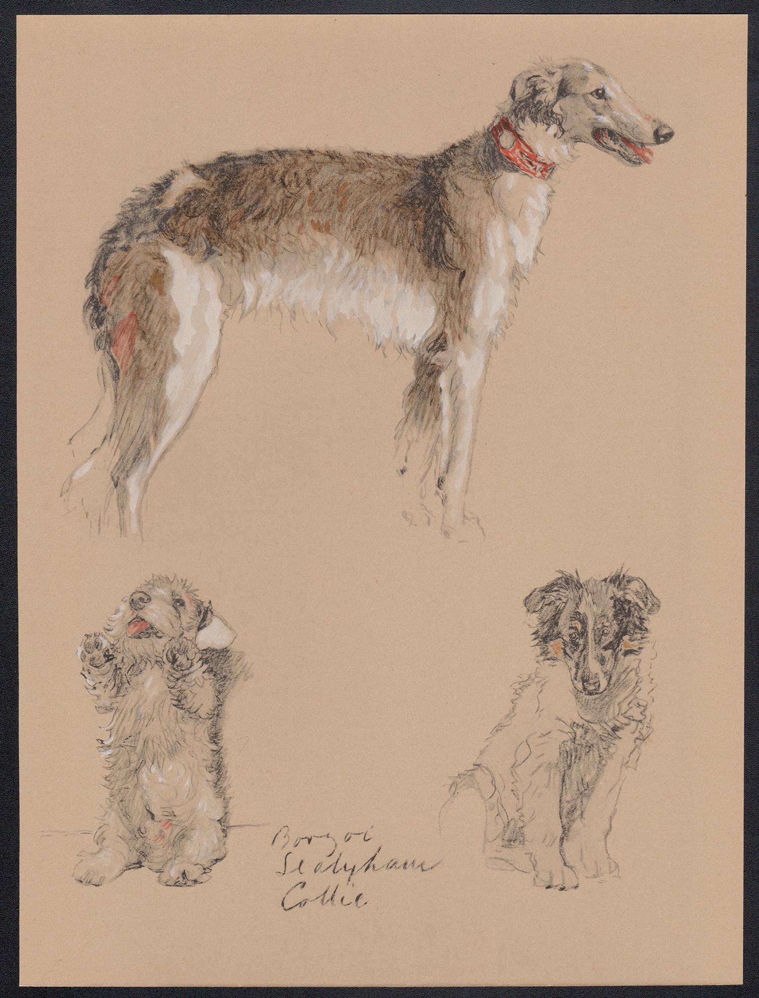 Borzoi, Sealyham, Colli, Cecil Aldine 1930 litografia di cani in vendita 1