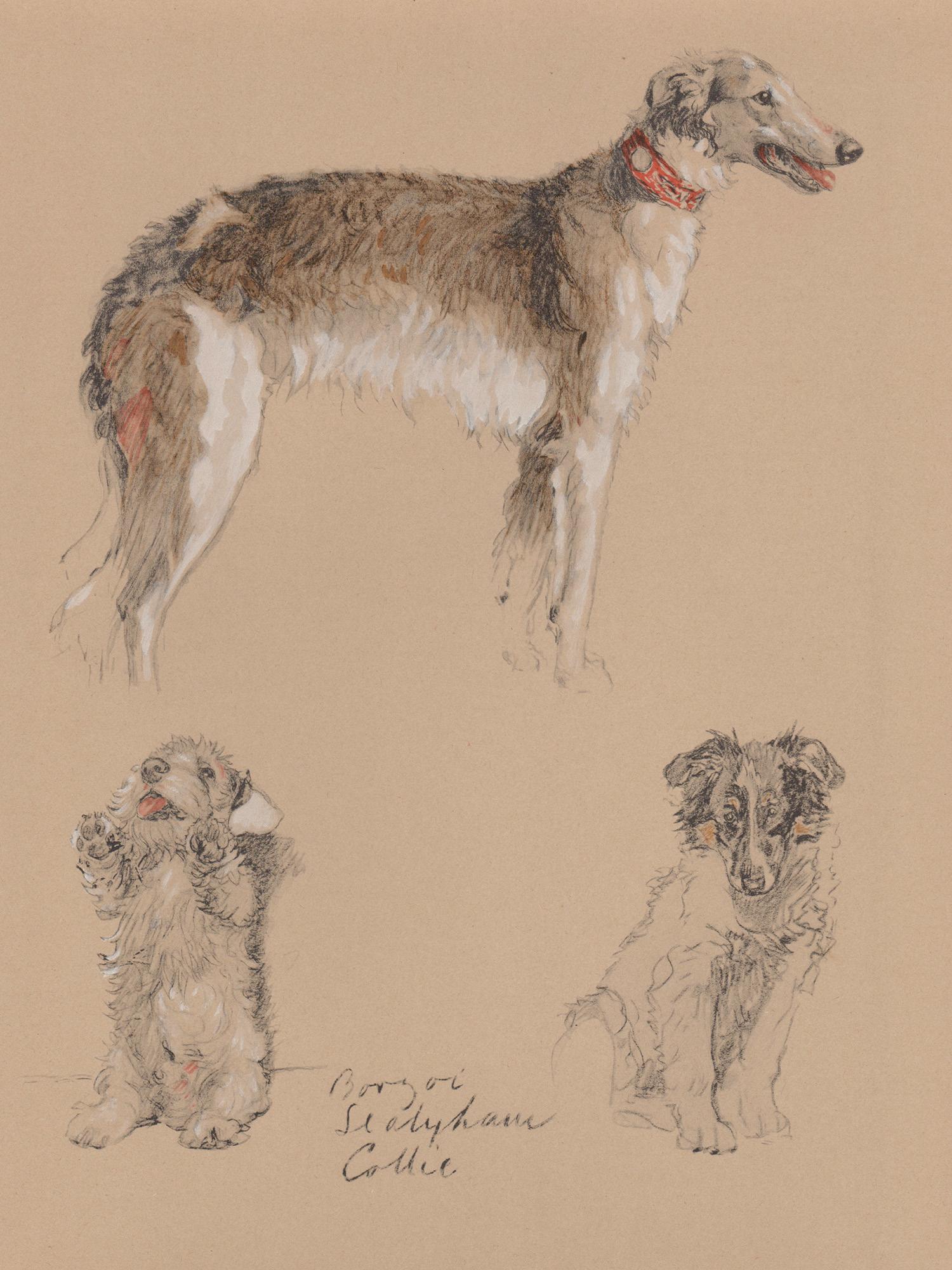 Borzoi, Sealyham, Colli

Litografia di Cecil Aldin, 1935.

Cecil Aldin era un artista e illustratore britannico noto soprattutto per i suoi dipinti e schizzi di animali, sport e vita rurale. 

290 mm per 215 mm (foglio)