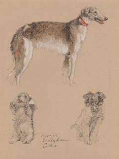 Borzoi, Sealyham, Collie, Cecil Aldin 1930s dog lithograph