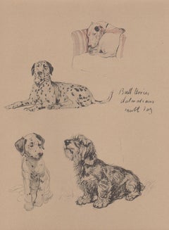 Bull Terrier, Dalmatians, mutt dog, Cecil Aldin dog lithograph