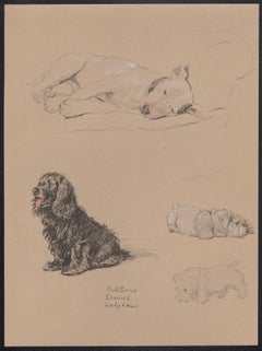 Bull Terrier, Spaniel, Sealyhams, Cecil Aldin 1930s puppy dog lithograph