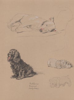 Bull Terrier, Spaniel, Sealyhams, Cecil Aldin 1930s puppy dog lithograph