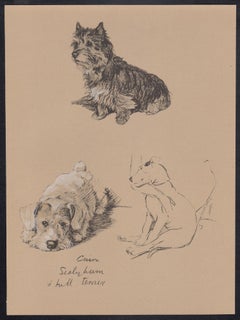 Cairn, Sealyham and Bull Terrier, Cecil Aldin 1930s dog lithograph