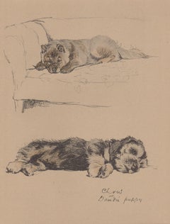 Cucciolo di Chow e di Dandie Dinmont, litografia di Cecil Aldin del 1930