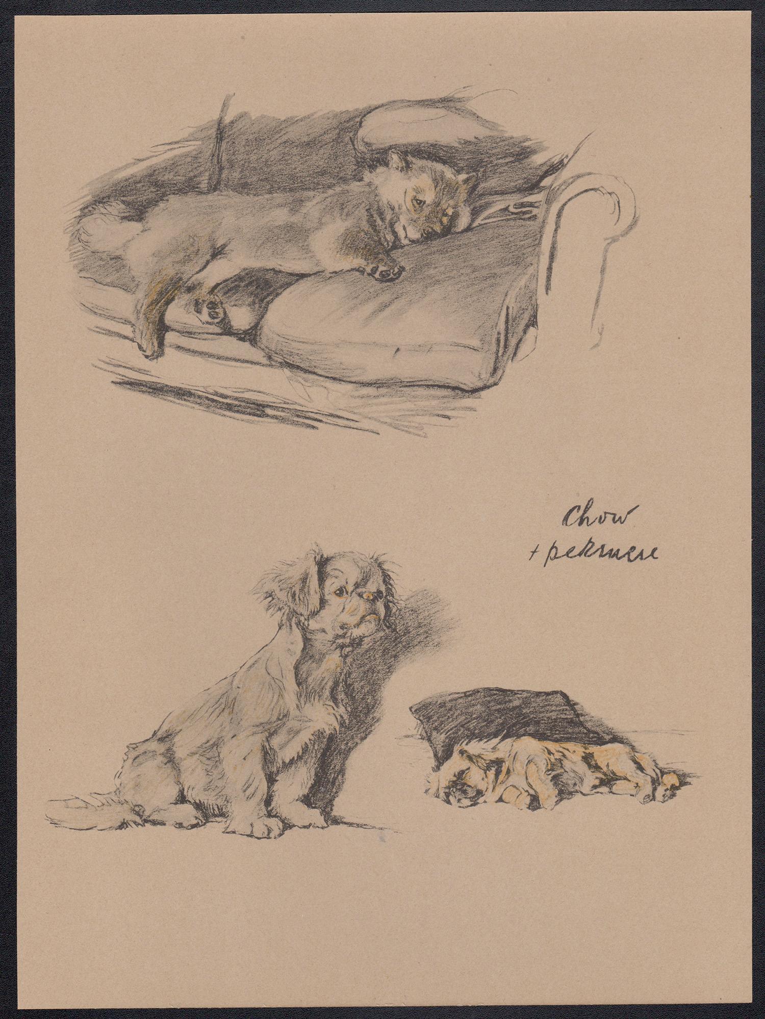 Chow and Pekinese (Pekingnese), Cecil Aldin 1930s puppy dog lithograph For Sale 1