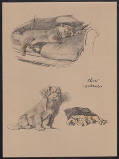 Chow and Pekinese (Pekingnese), Cecil Aldin 1930s puppy dog lithograph