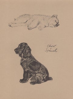 Chow y Spaniel, litografía canina de Cecil Aldin de 1930