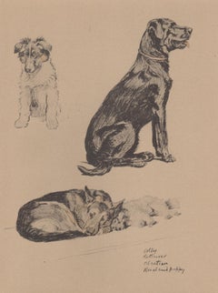 Collie, Retriever, Alsatian, Keeshond puppy, Cecil Aldin puppy dog lithograph