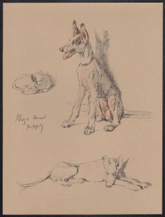 Ibiza Hound puppy, Cecil Aldin 1930s puppy dog lithograph