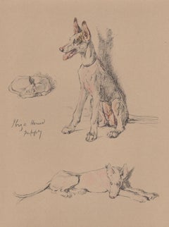 Ibiza Hound puppy, Cecil Aldin 1930s puppy dog lithograph