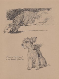 Lobero irlandés y Terrier de pelo duro, Cecil Aldin Litografía de perros de 1930