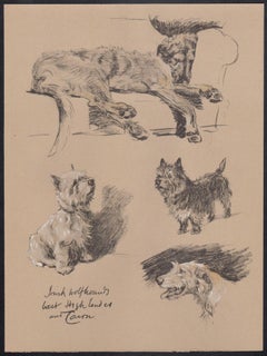Irish Wolfhound, West Highland and Cairn terriers, Cecil Aldin dog lithograph