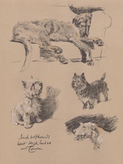 Irish Wolfhound, West Highland and Cairn terriers, Cecil Aldin dog lithograph