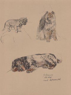 Pekingnese, Chow e Spaniel, litografia di Cecil Aldin del 1930 con cuccioli di cane
