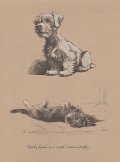 Sealyham and Rough Dachshund Puppy, Cecil Aldin 1930s dog lithograph