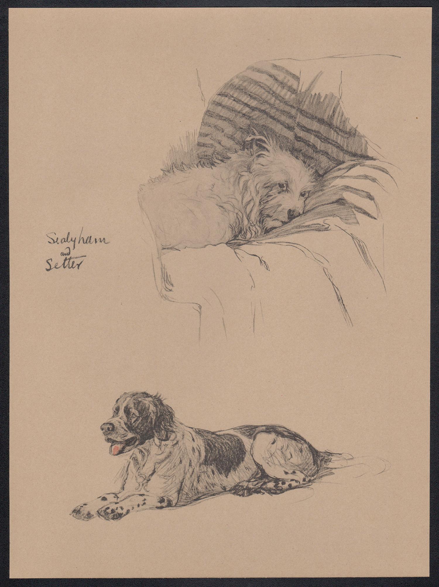 Sealyham y Setter, litografía canina de Cecil Aldin de la década de 1930 en venta 1