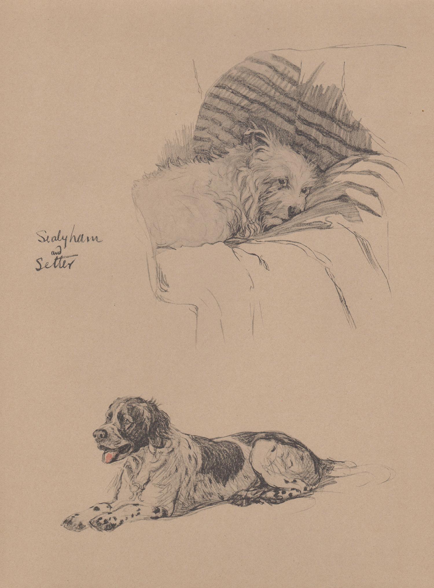 Sealyham e Setter, litografia per cani di Cecil Aldin del 1930