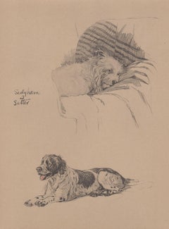 Sealyham e Setter, litografia per cani di Cecil Aldin del 1930