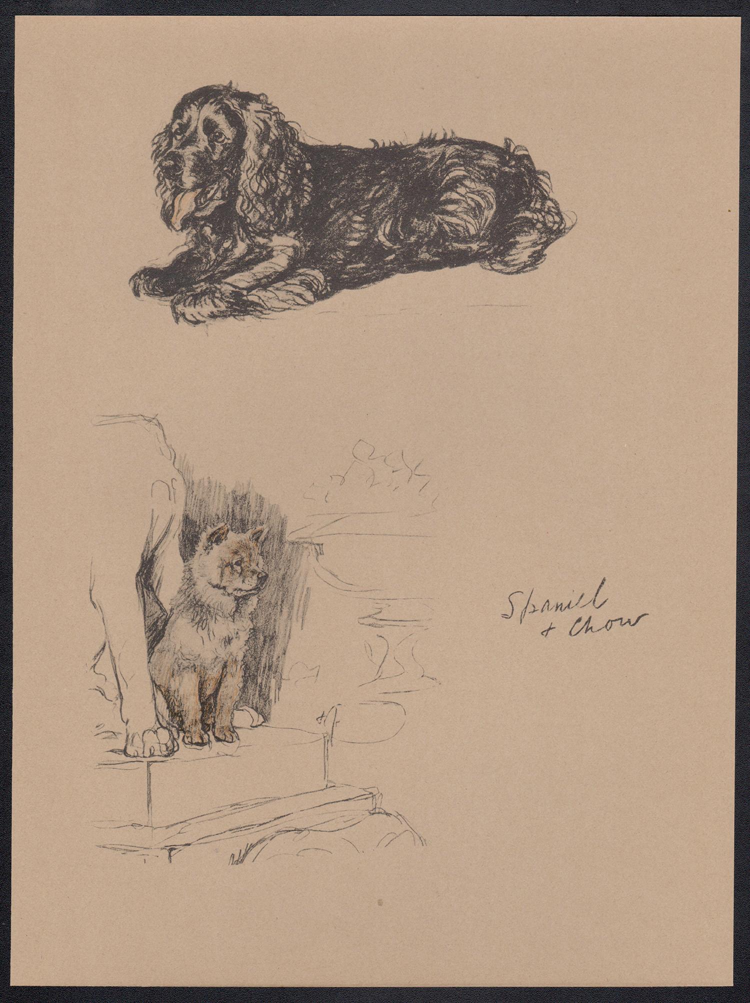 Spaniel and Chow, Cecil Aldin 1930s dog lithograph For Sale 1