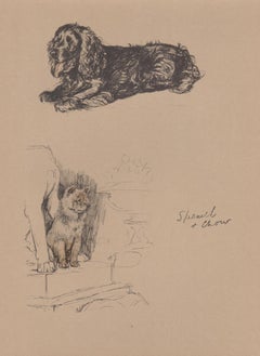 Spaniel y Chow, litografía canina de Cecil Aldin de 1930