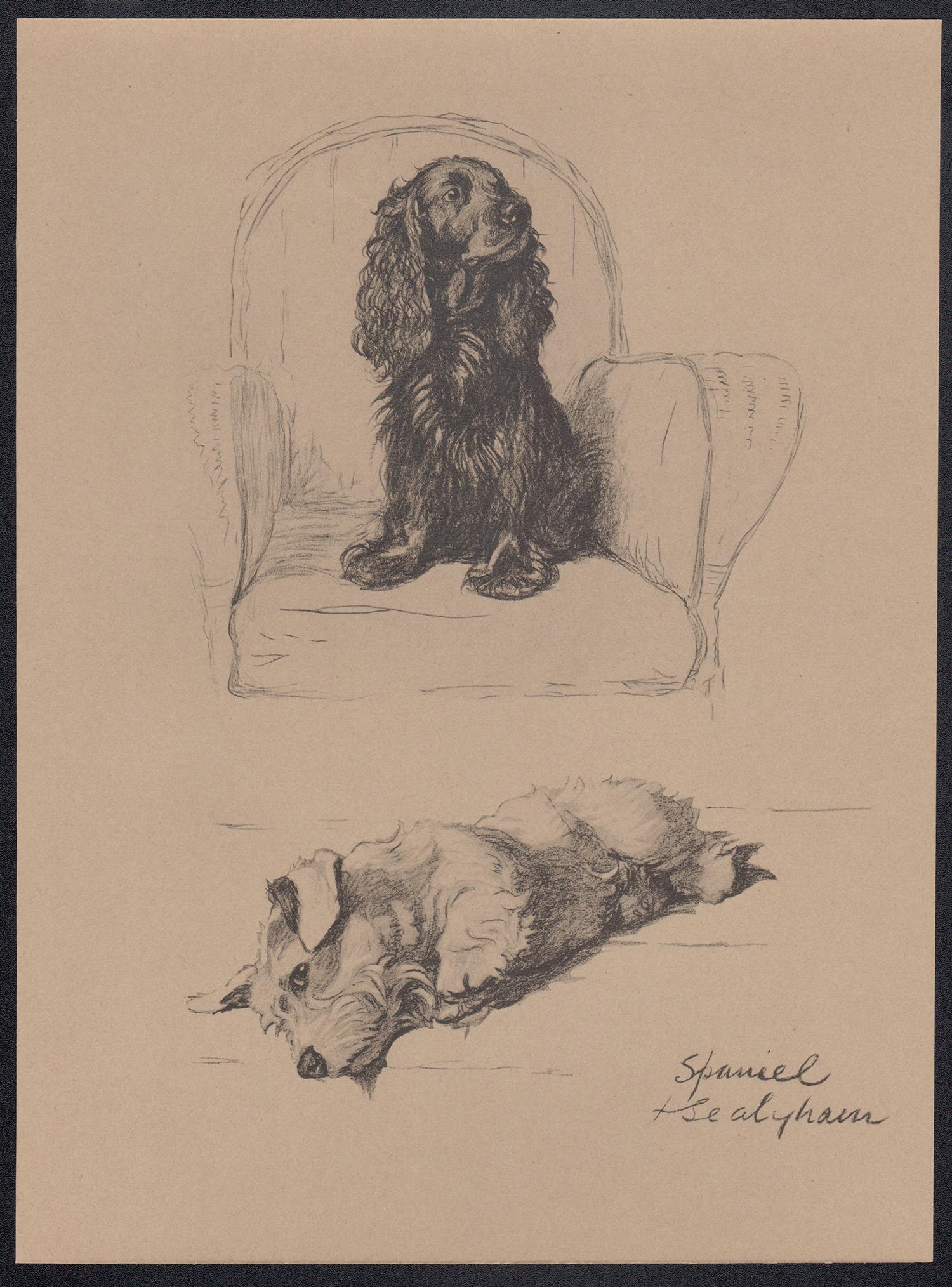 Spaniel y Sealyham, litografía de Cecil Aldin de 1930 sobre cachorros de perro 1