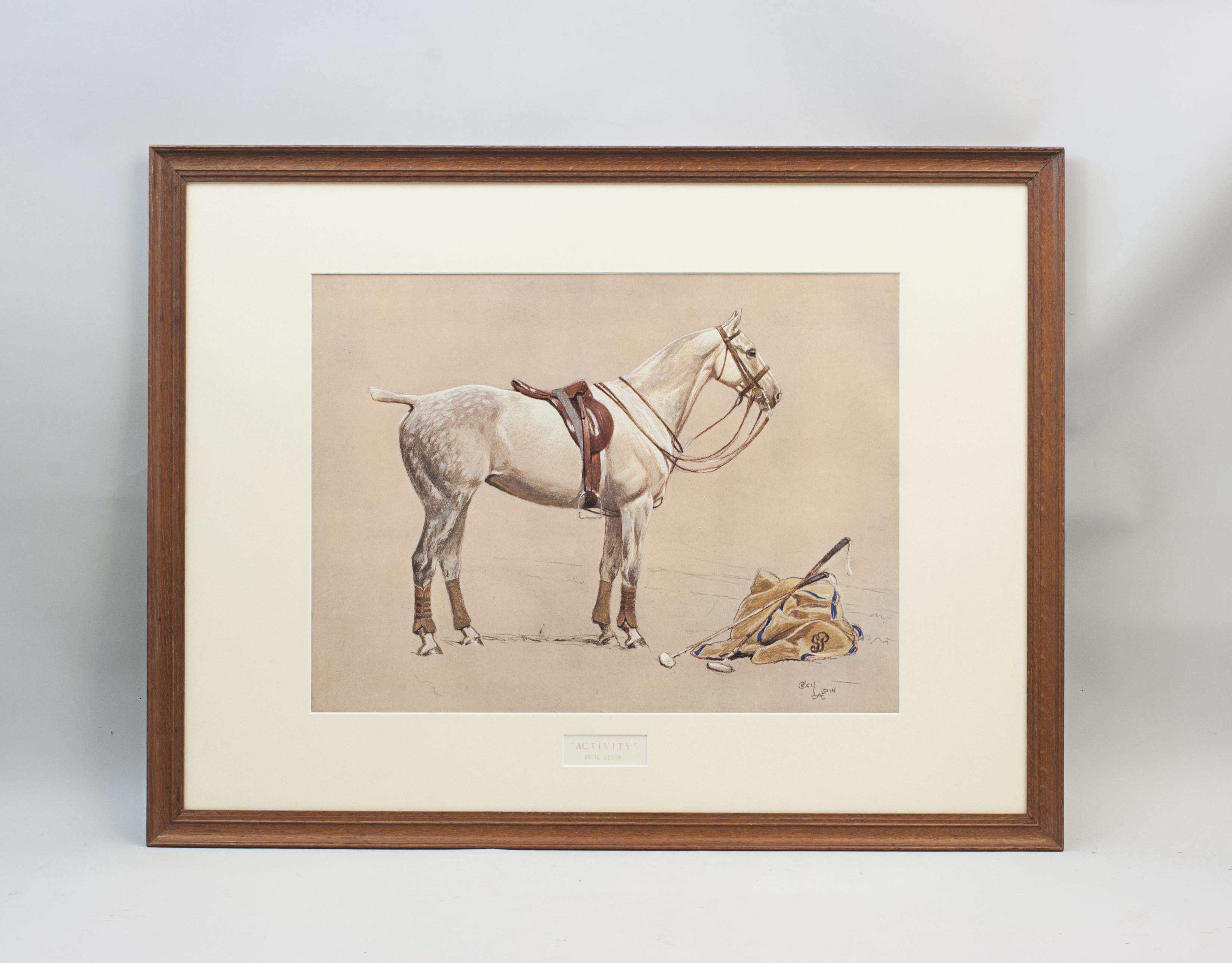 Polo Photolithograph Activity By Cecil Aldin.
This single picture is from a series of horses done by Cecil Aldin. This one 