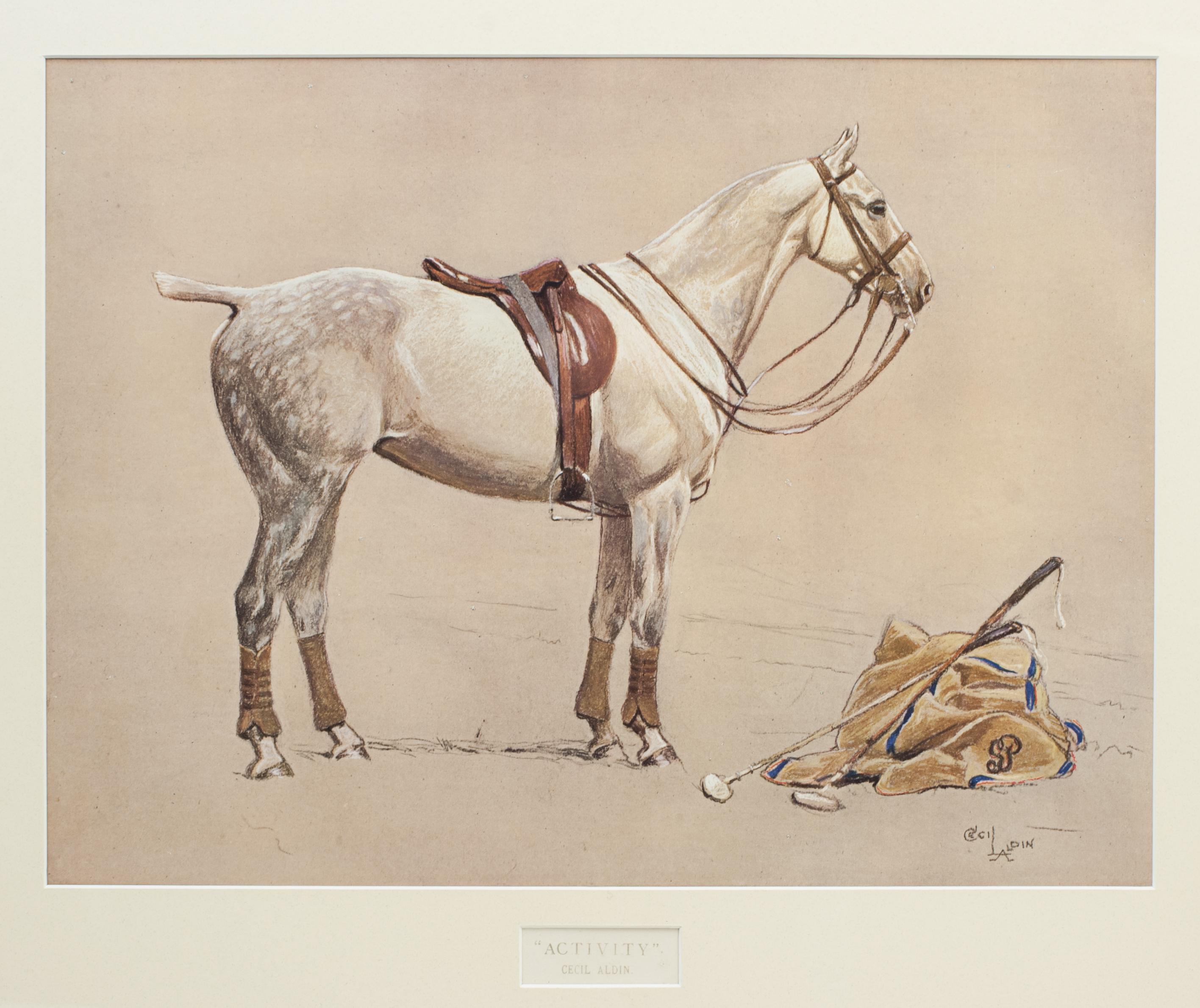 British Cecil Aldin Polo Picture 