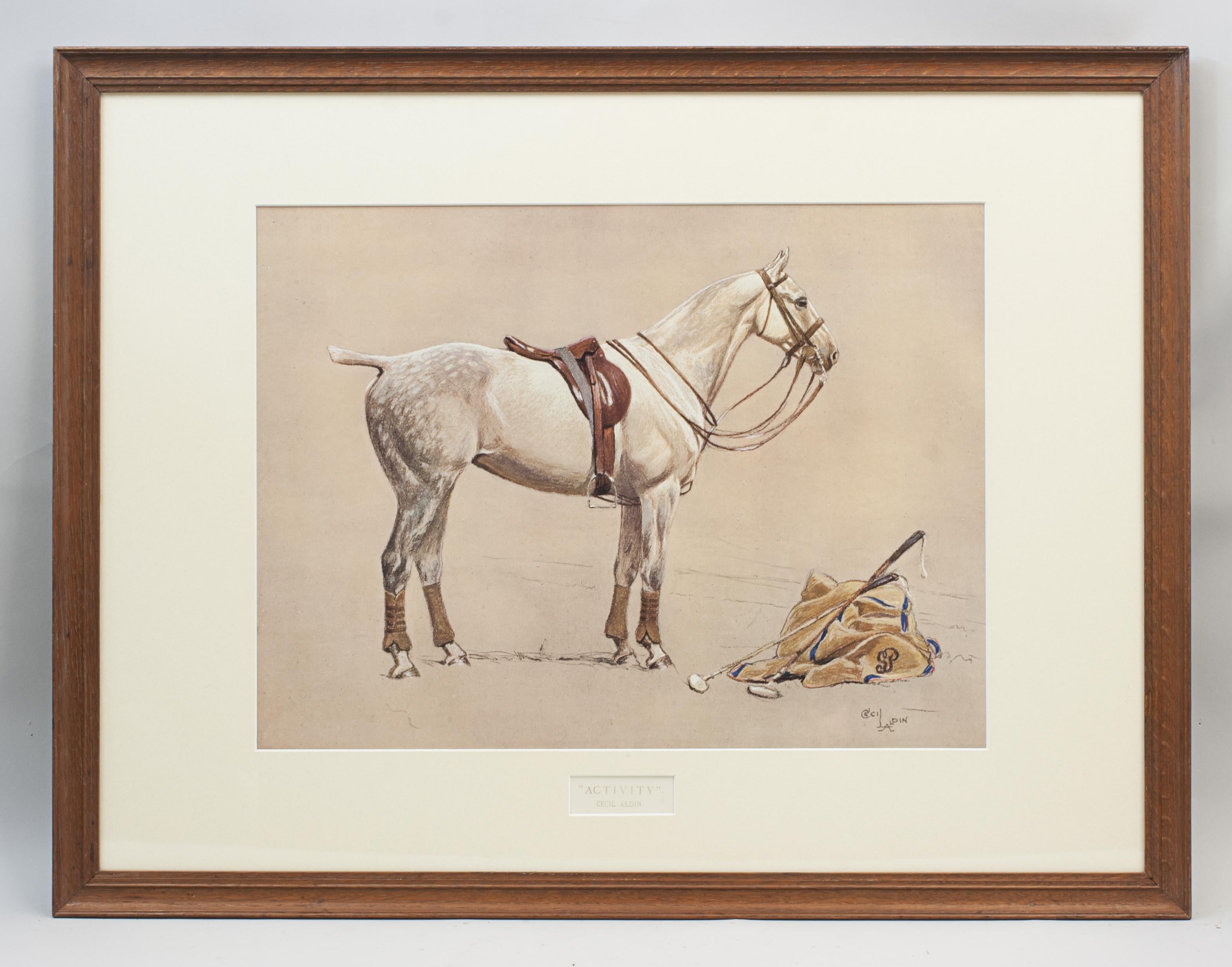 Cecil Aldin Polo Picture 