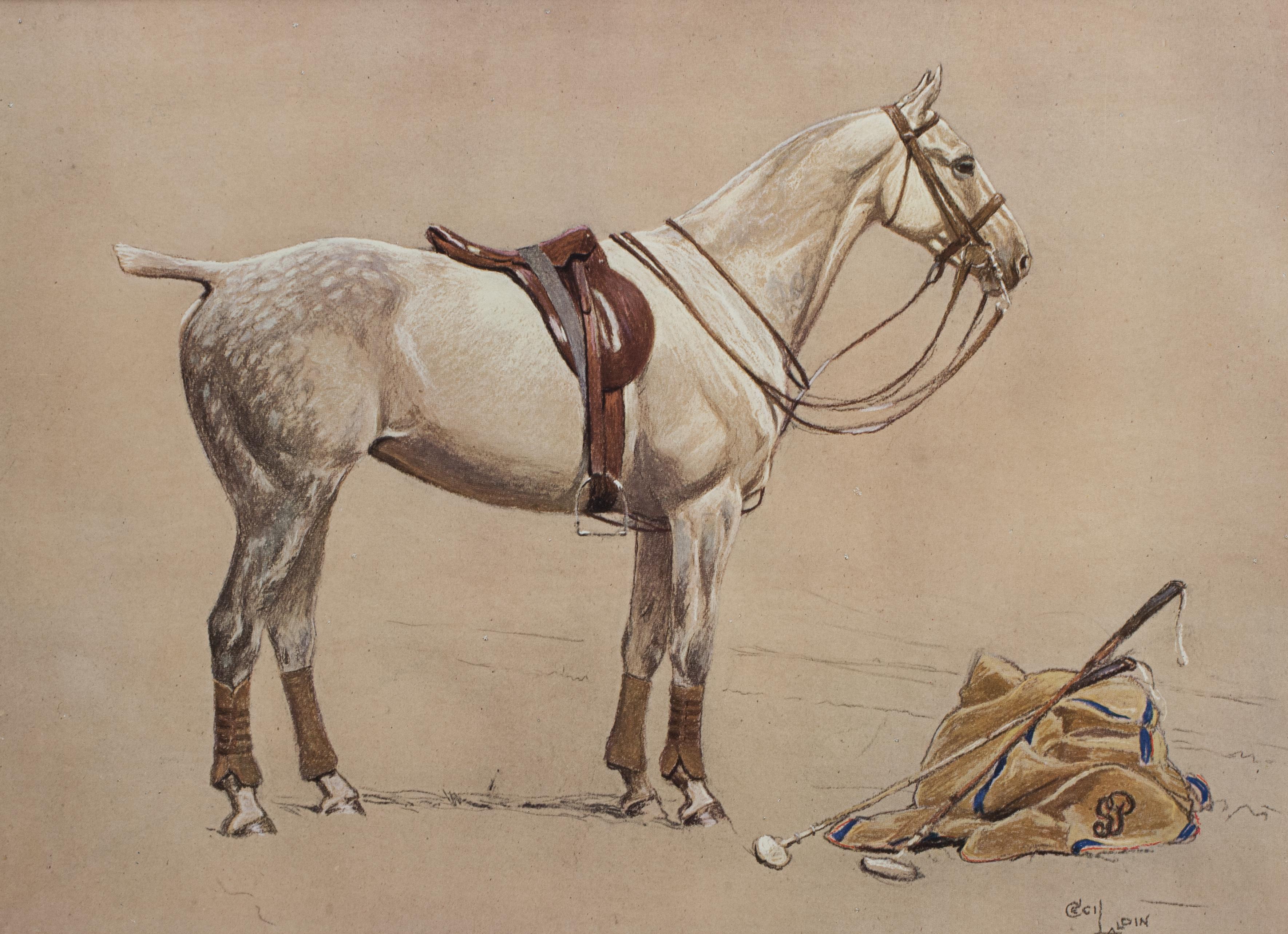 Cecil Aldin Polo Picture 