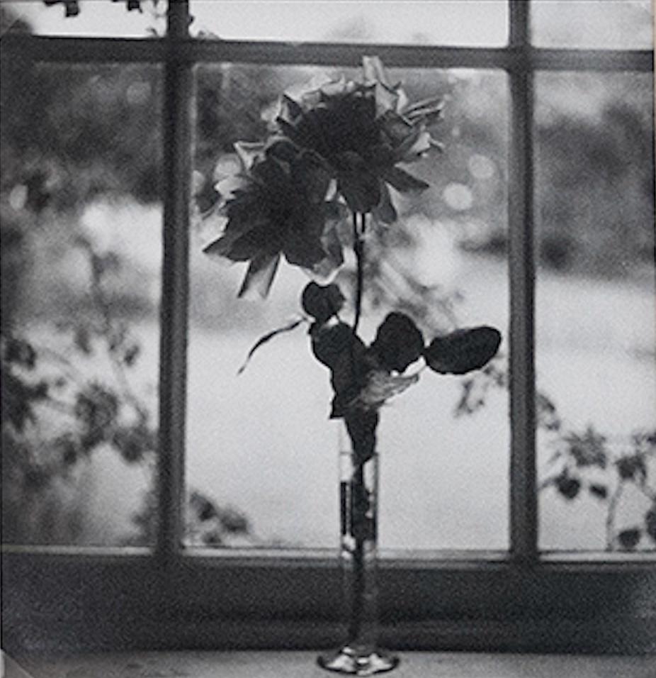Cecil Beaton Black and White Photograph – Blumenstudie, Fensterschrank