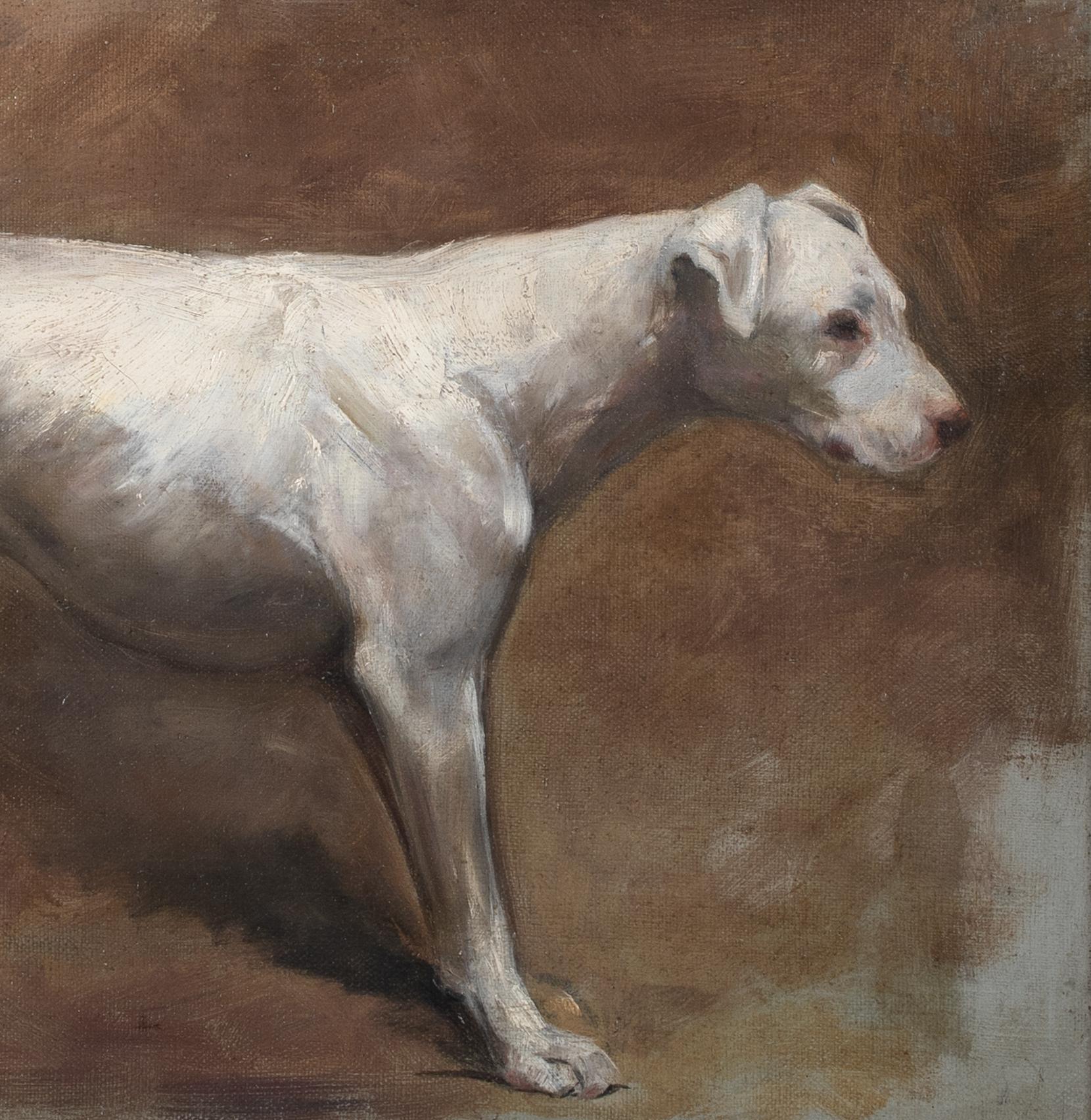 Portrait d'un Mastiff, 19e siècle  par Cecil ALDIN (1870-1935) 3