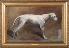 Portrait d'un Mastiff, 19e siècle par Cecil ALDIN (1870-1935)
