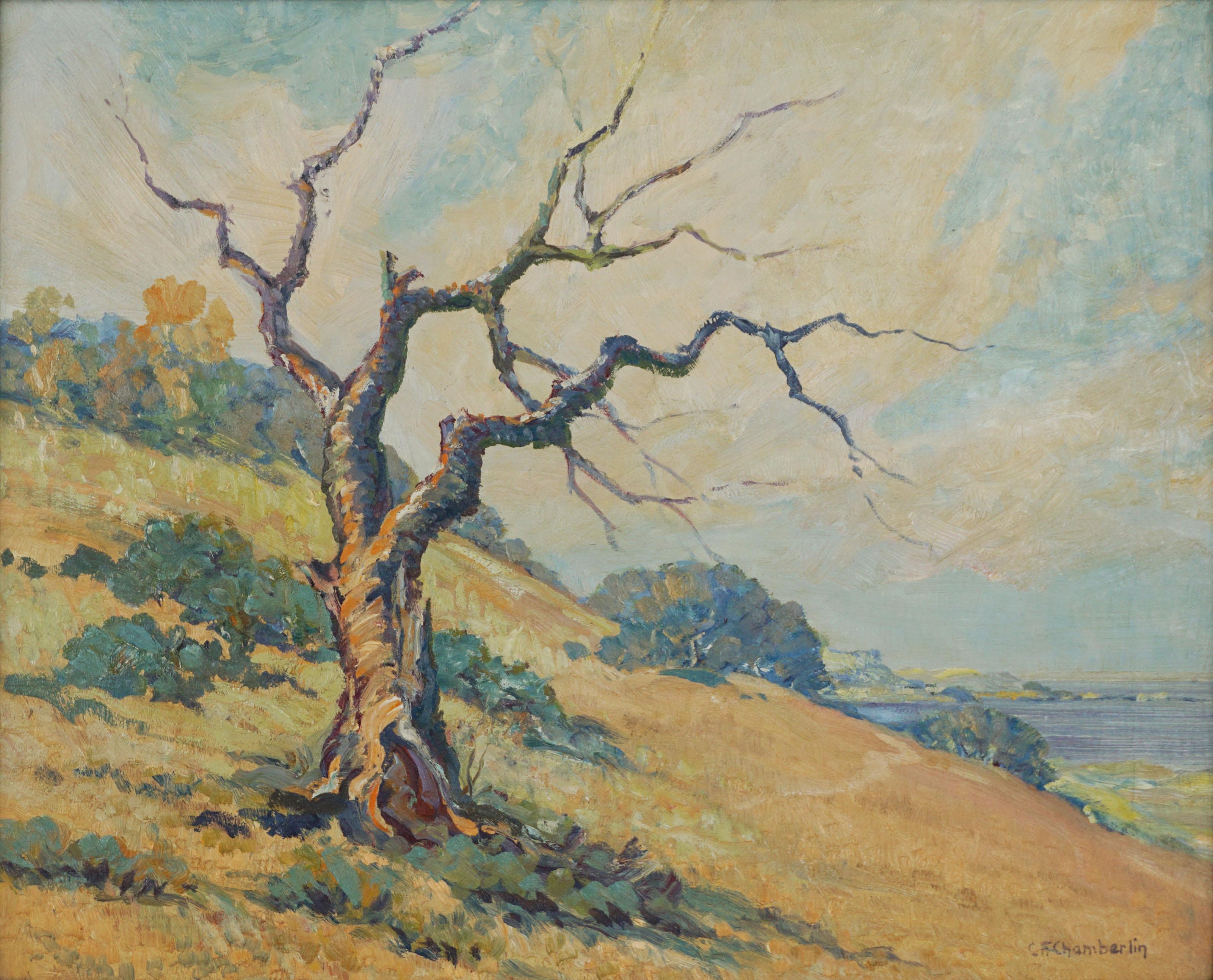 Mid Century California Coast Landscape with Oak Tree -- 