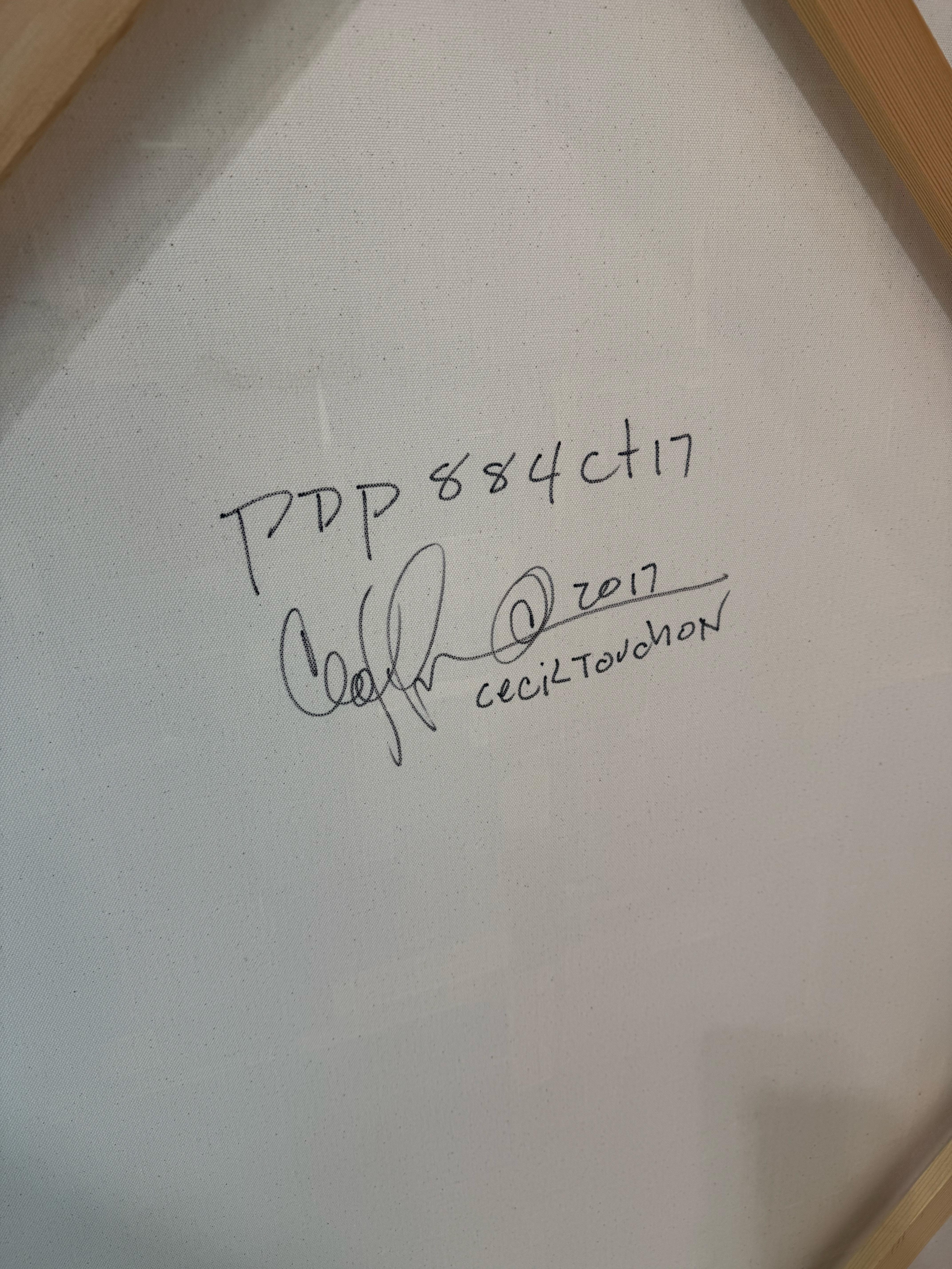 Original-Gemälde auf Leinwand mit dem Titel: PDP 884 ct17 im Angebot 7