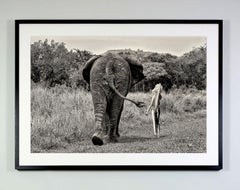 "Banana's leaf (back view)", photography by Cécile Plaisance (39.7x55.5in), 2022