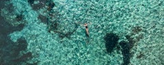 View from the Sky: Fin & Whale Shark