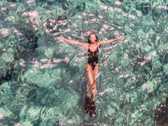 View from the Sky: PLANCHE Daddy Board (6, 7") "Fins & Whale Shark"