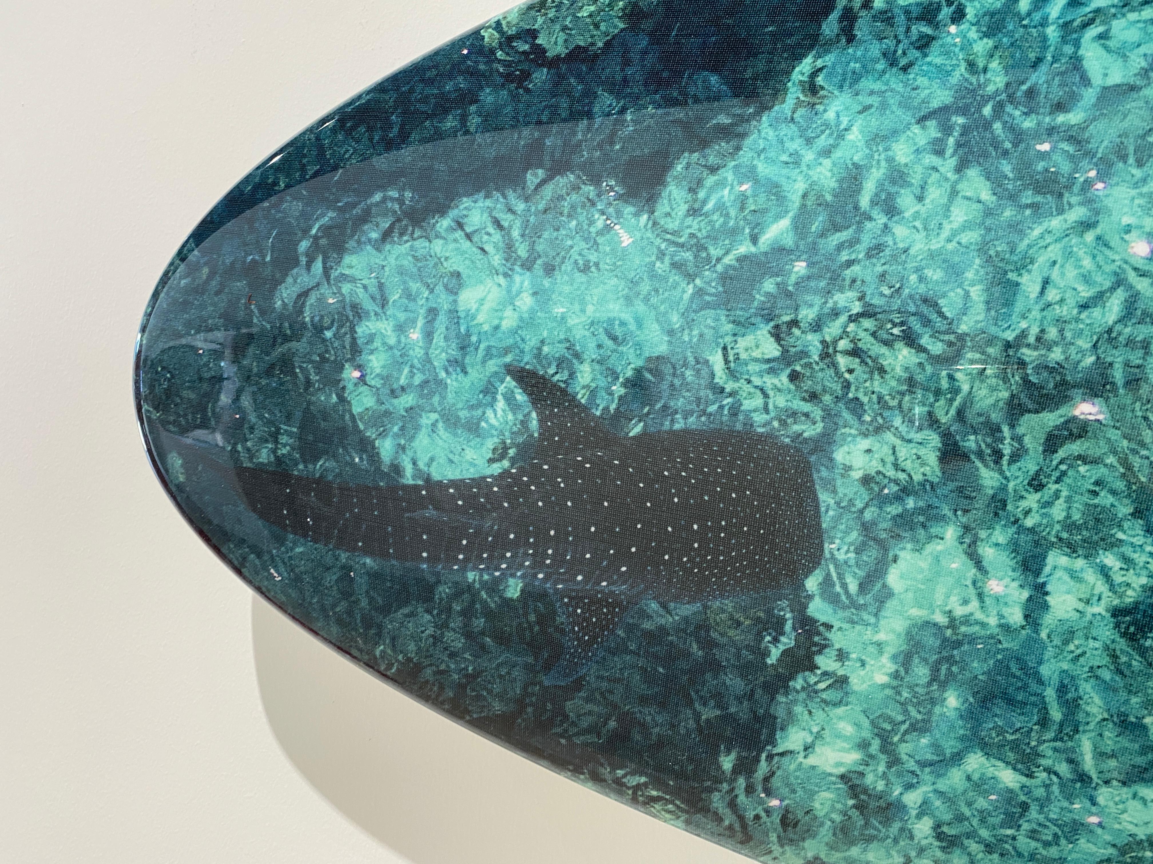 Blick aus dem Himmel: PLANCHE Daddy Board (6,7) „Fins & Whale Shark (Zeitgenössisch), Photograph, von Cécile Plaisance