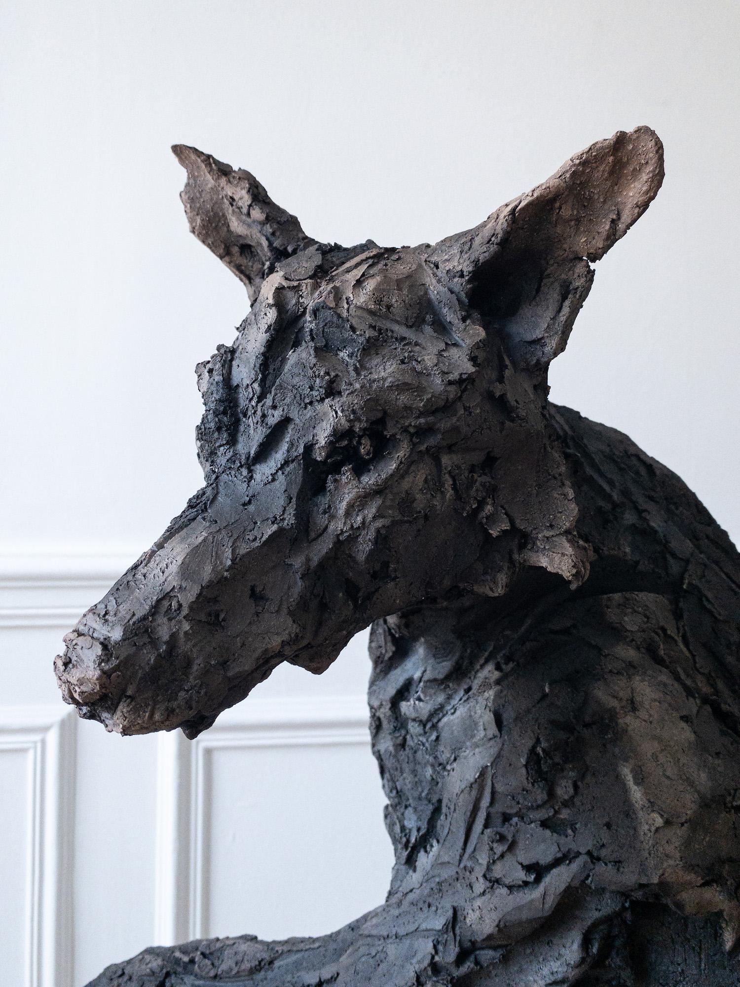 Loba de Cécile Raynal - Escultura animal de arenisca cocida al humo, fábula, oscura en venta 10