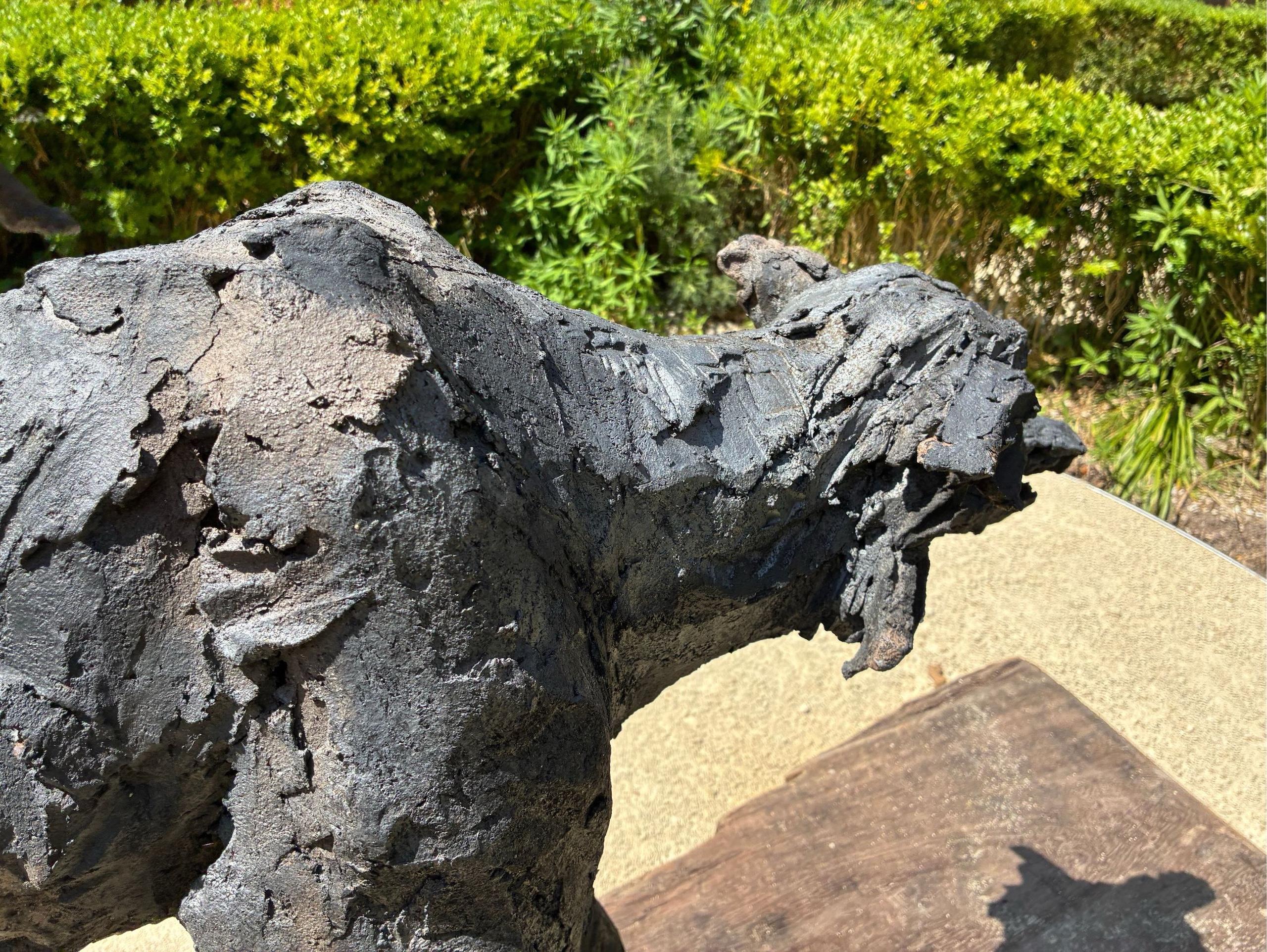 S'y jeter ou pas de Cécile Raynal - Animal grès enfumé, bois, Wood en vente 12