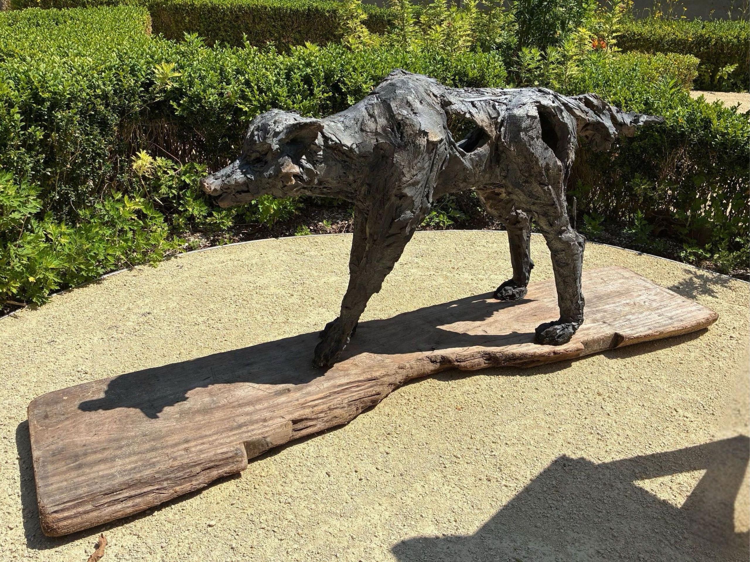 S'y jeter ou pas est une sculpture en grès cuit à la fumée de l'artiste contemporaine Cécile Raynal. Pour l'artiste, le loup est l'animal le plus proche de l'homme et une créature très fascinante en raison de sa représentation dans les fables : à la