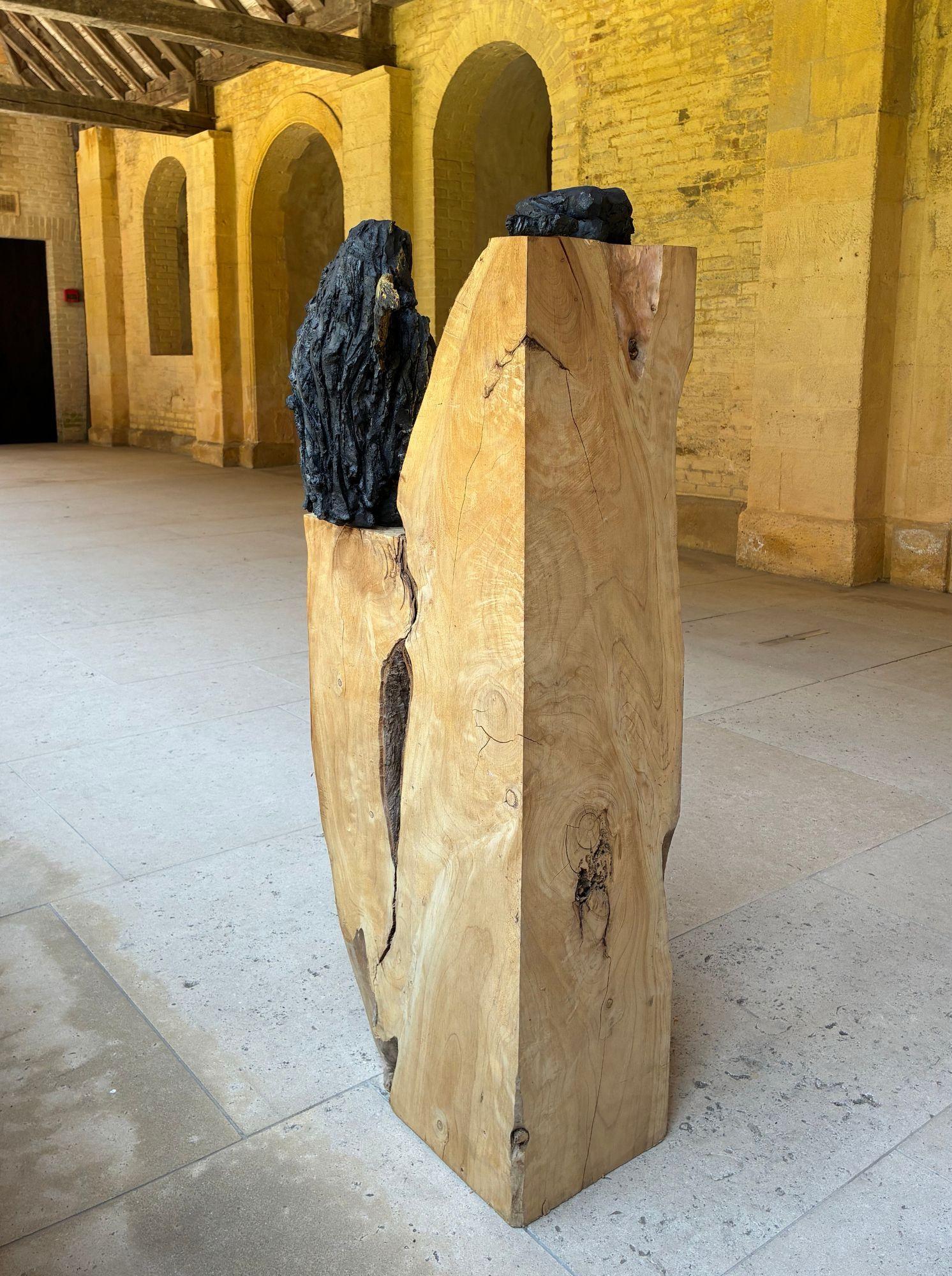 Tire d'aile (avec Natacha) von Cécile Raynal - Skulptur aus Steingut, Holz, Pigment im Angebot 9