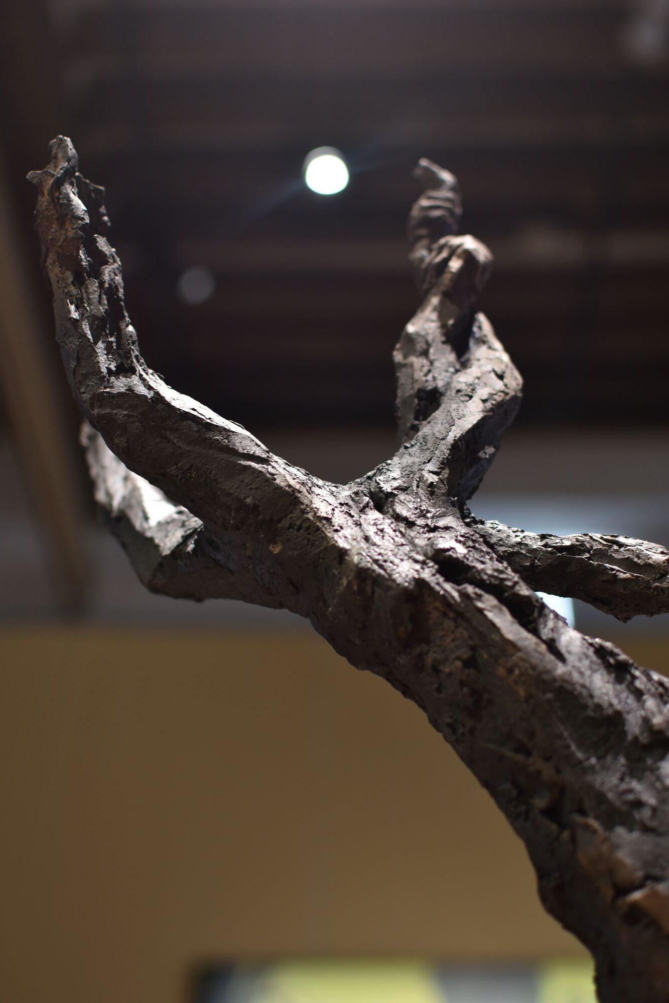World-tree IV de Cécile Raynal - Sculpture en grès cuit au four, nature, Branch en vente 5