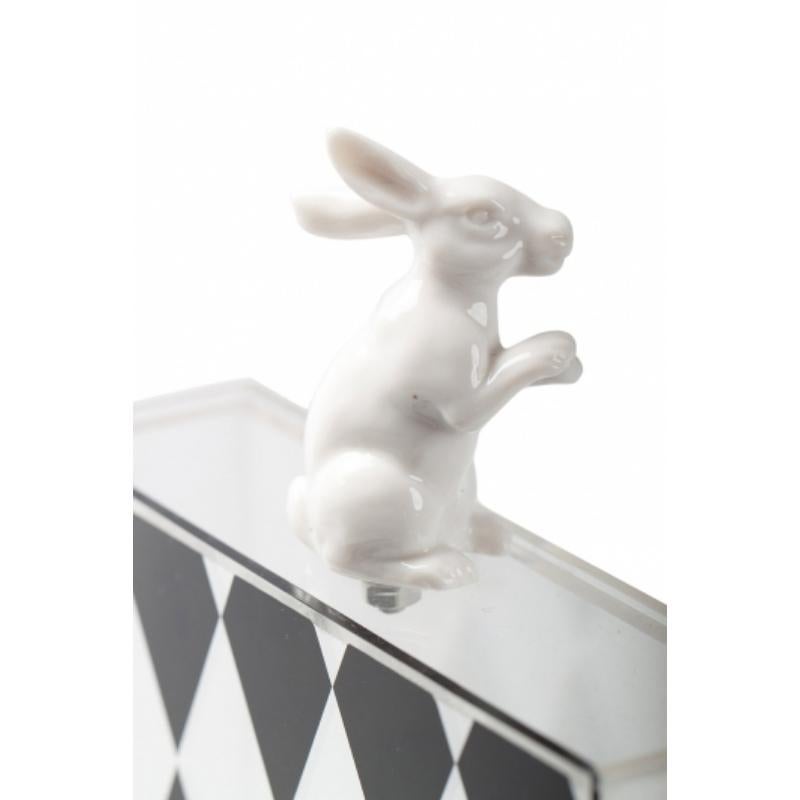 Se sei una persona che ama le cose originali e uniche, allora questa clutch Box di Cecilia Ma è perfetta per te. Realizzata in acrilico e con stampe di diamanti, questa splendida borsa è dotata di una raffinata chiusura a forma di coniglio sulla