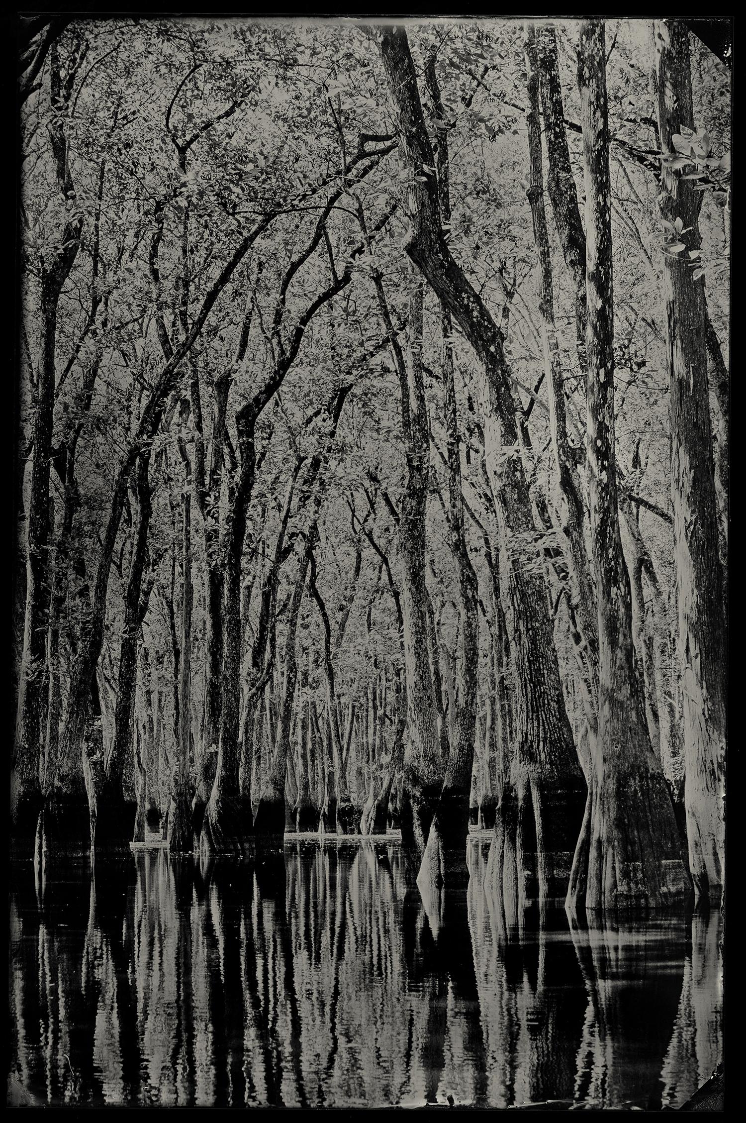 Creation's Cathedral - wet plate collodion - retablo - landscape photography - Photograph by Cecilia Montalvo & Charlie McCullers
