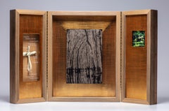 Cathédrale de Creation - collodion à plaques humides - retablo - photographie de paysage