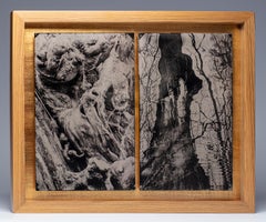 Ébène croisé - collodion à plaques humides - naturalisme - photographie de paysage