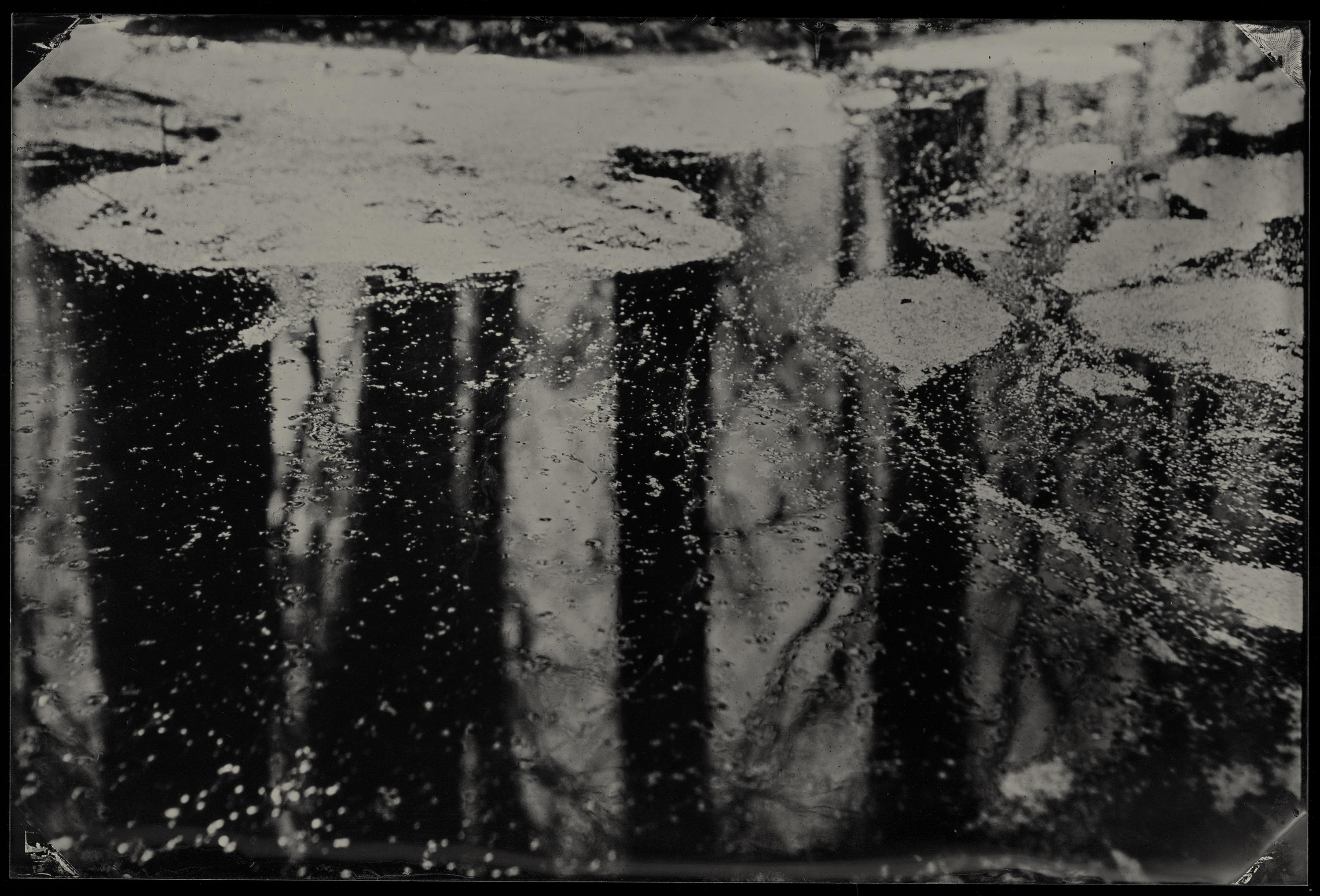 Mirror World - wet plate collodion - landscape photography - water - Photograph by Cecilia Montalvo & Charlie McCullers