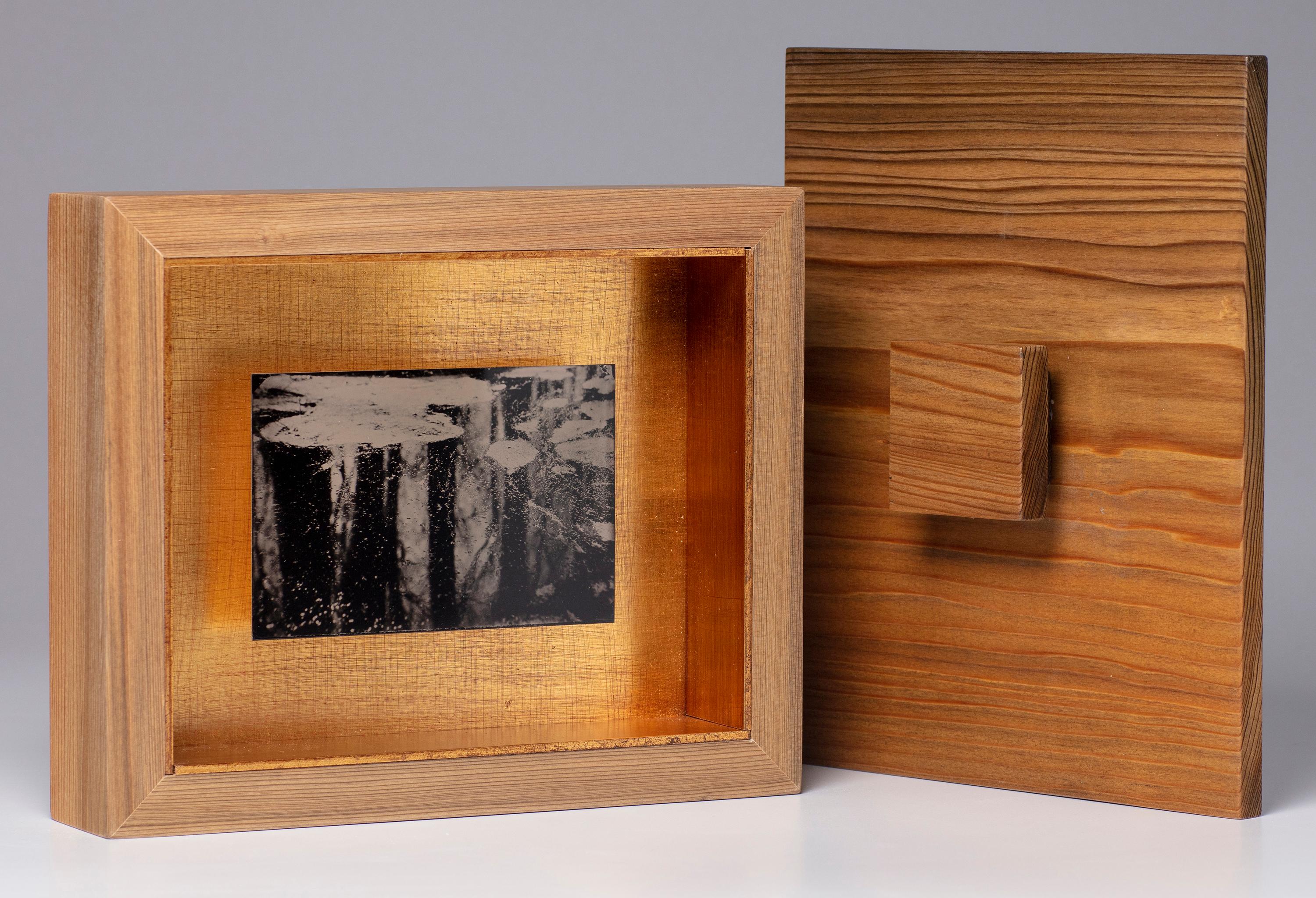 Cecilia Montalvo & Charlie McCullers Landscape Photograph - Mirror World - wet plate collodion - landscape photography - water