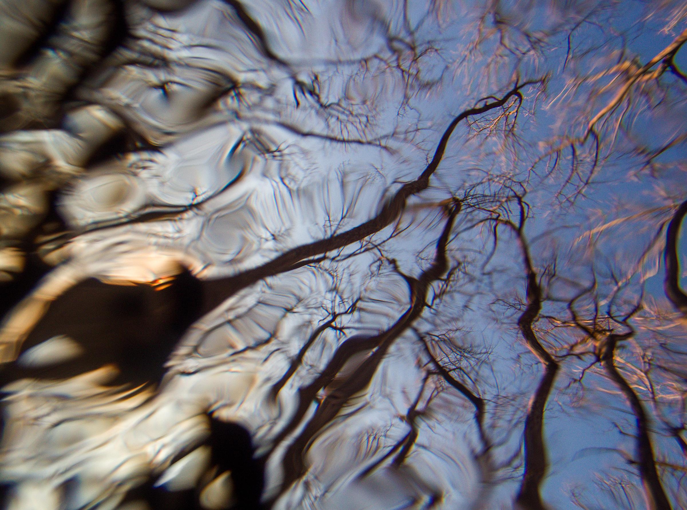 Passage No. 1 - swamp - water - southern photography - abstract photography - Photograph by Cecilia Montalvo & Charlie McCullers